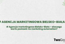 Agencja marketingowa Bielsko-Biała – dlaczego warto postawić na marketing automation? Agencja marketingowa Bielsko-Biała